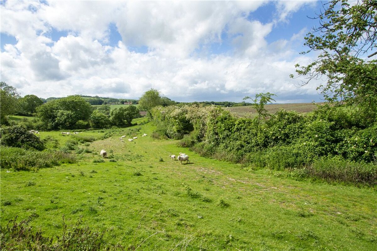 house for sale in Houghtons, East Harting, Petersfield, West Sussex