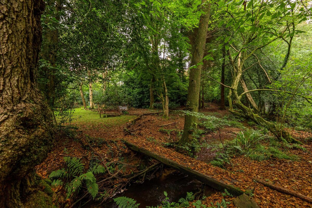 house for sale in Sturt Road, Haslemere, Surrey HSM150186 Knight Frank