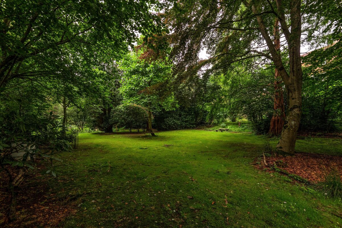 house for sale in Sturt Road, Haslemere, Surrey HSM150186 Knight Frank