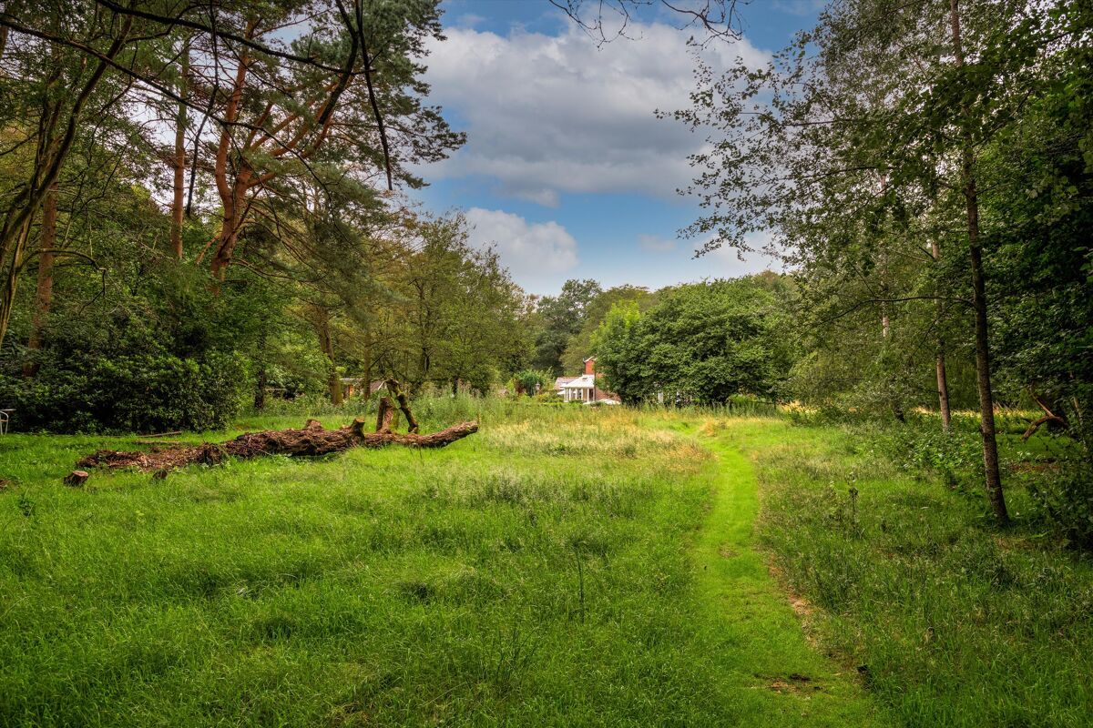 house for sale in Sturt Road, Haslemere, Surrey HSM150186 Knight Frank