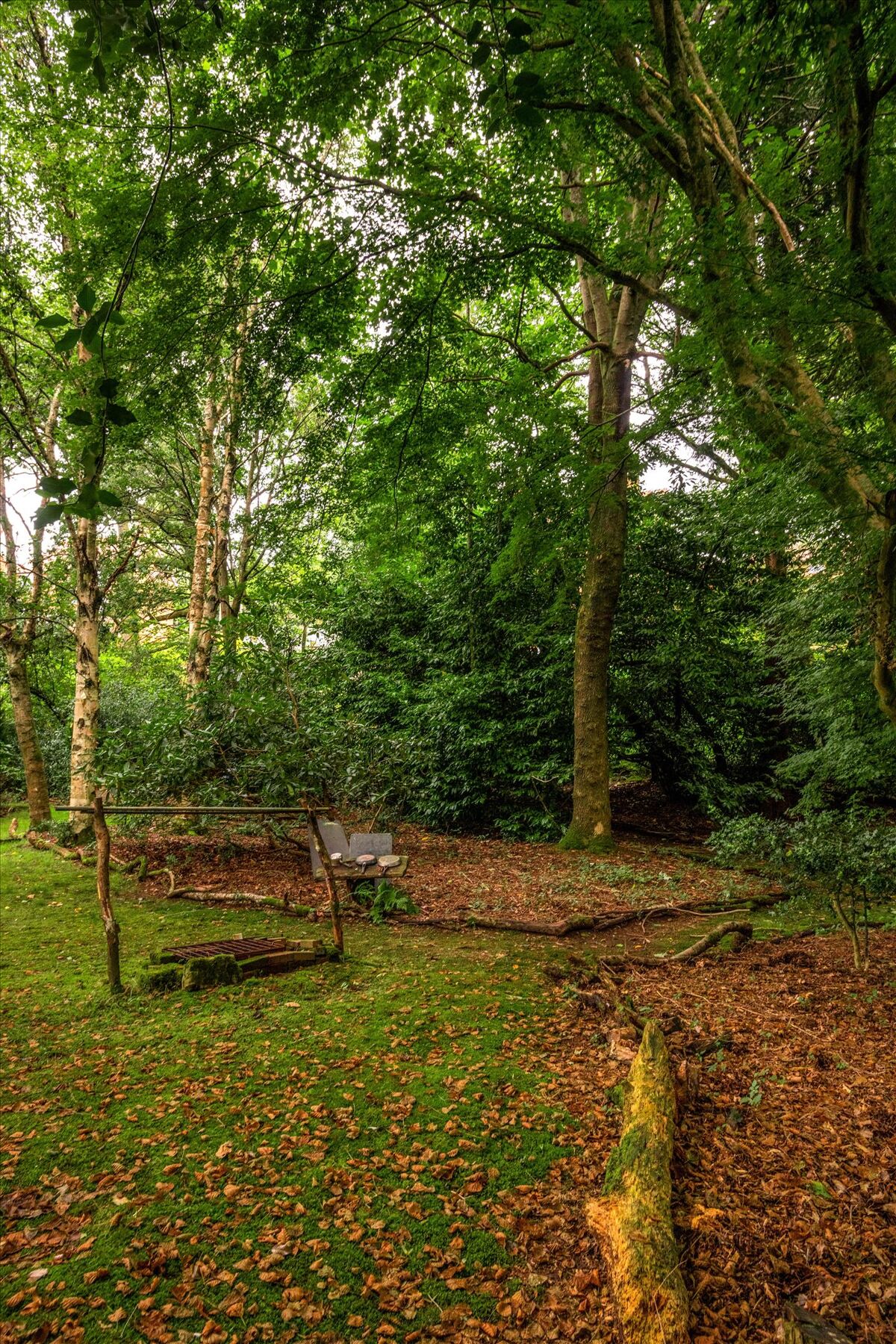 house for sale in Sturt Road, Haslemere, Surrey HSM150186 Knight Frank