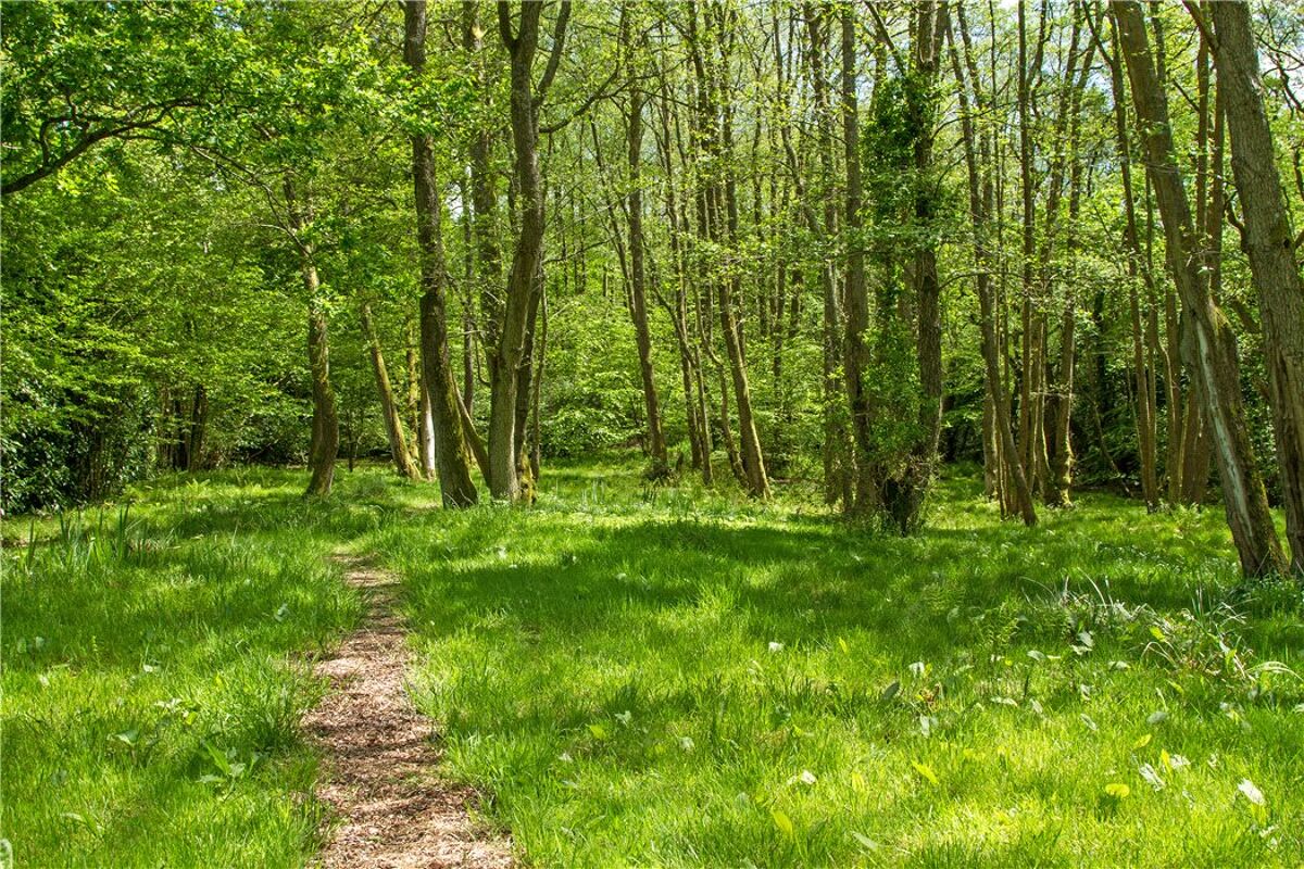 house for sale in Bell Vale Lane, Haslemere, Surrey, GU27 HSM160066 Knight Frank