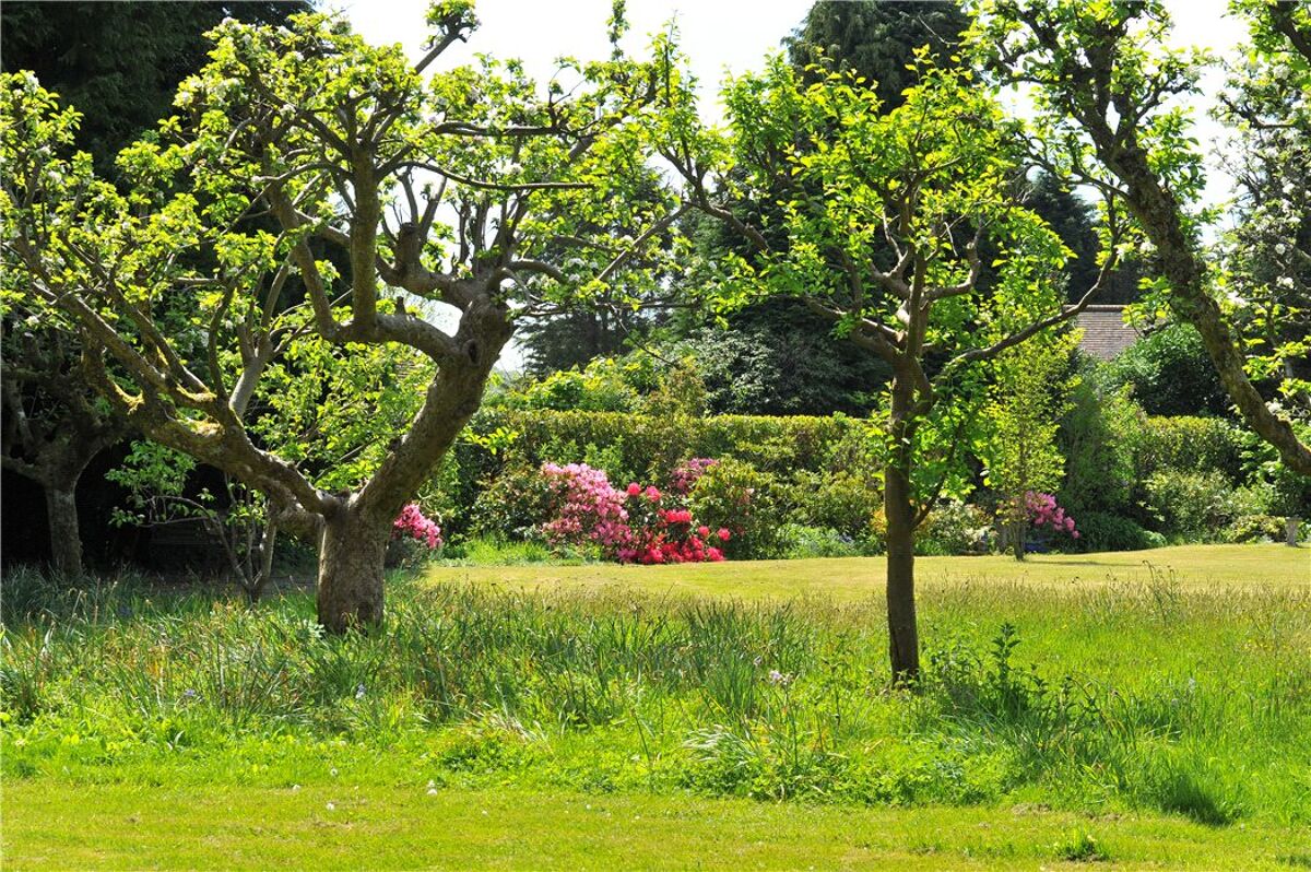 house for sale in Weydown Road, Haslemere, Surrey, GU27 HSM160081