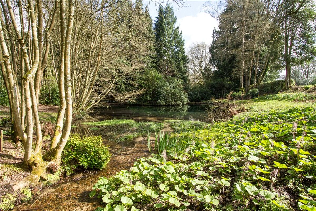 house for sale in Vine Cottage, Milland, Liphook, Hampshire, GU30 HSM170016 Knight Frank