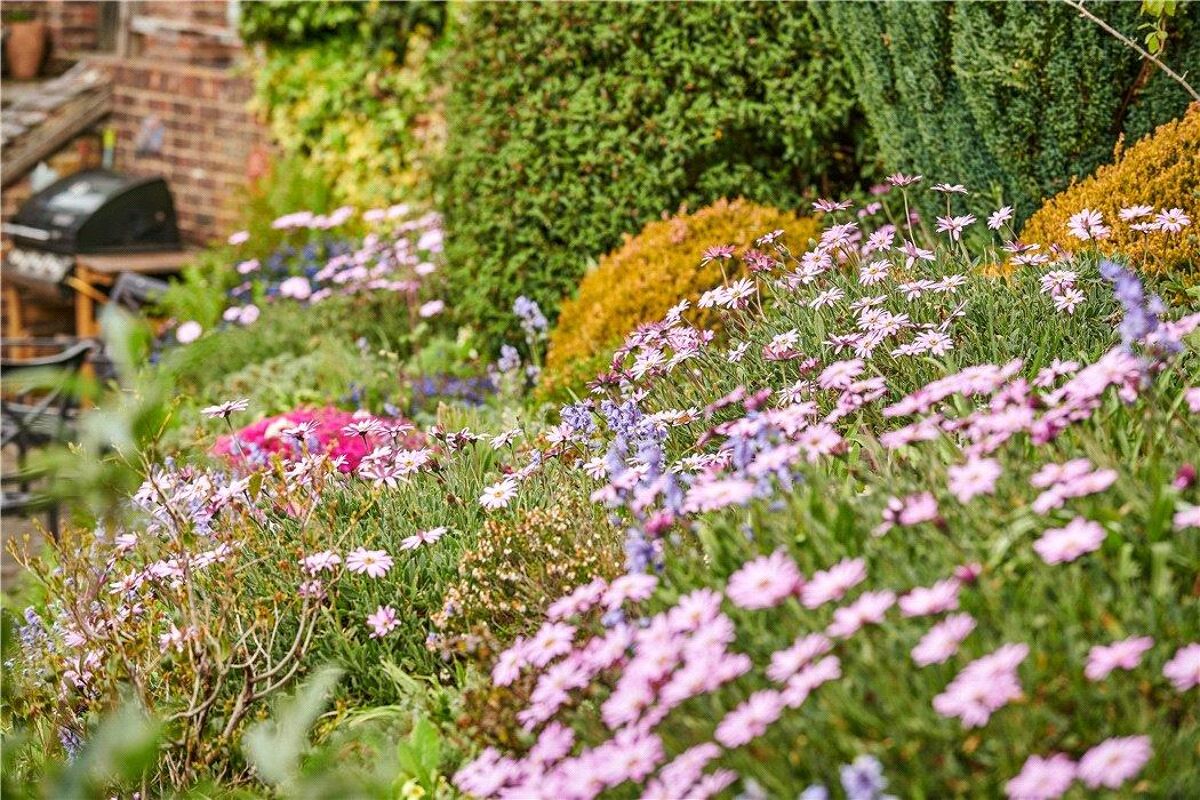 house for sale in Conford, Liphook, Hampshire, GU30 HSM180111 Knight Frank