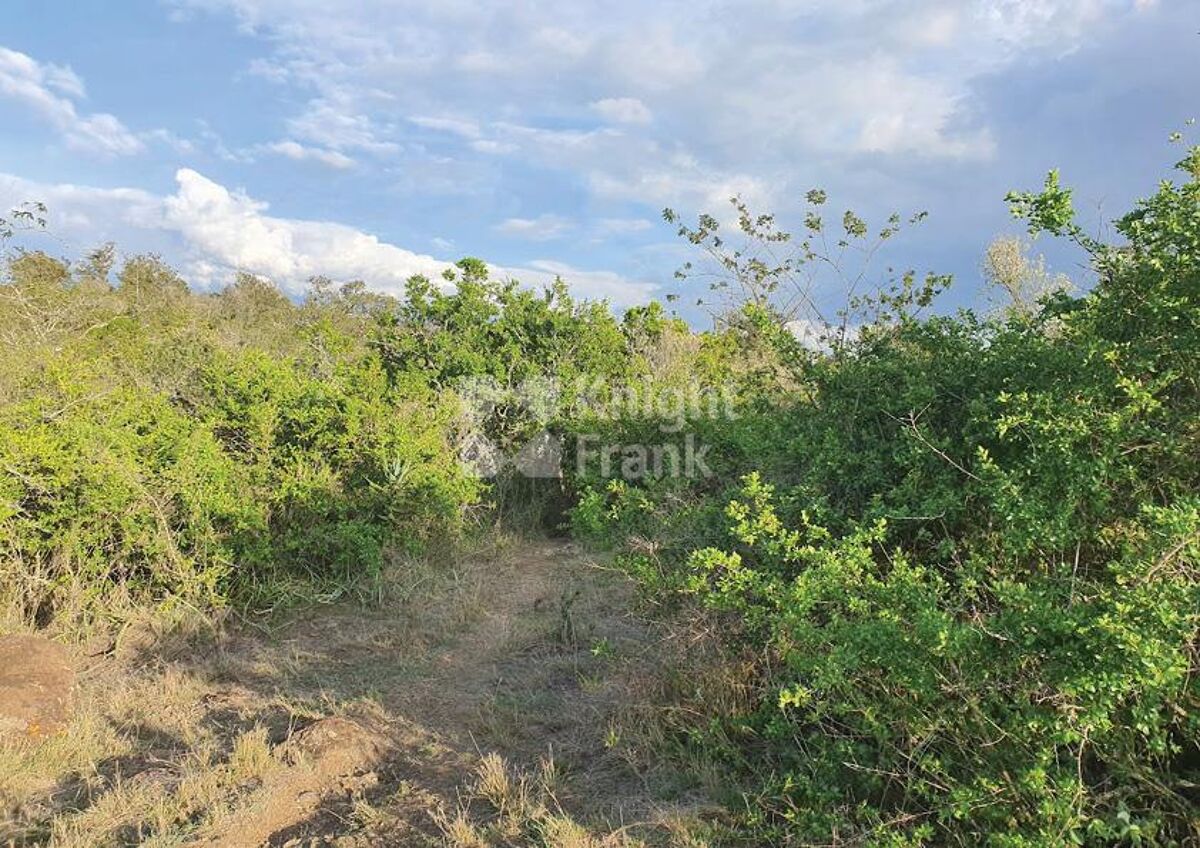 Land for sale in Burguret, Nanyuki HUB2102185 Knight Frank