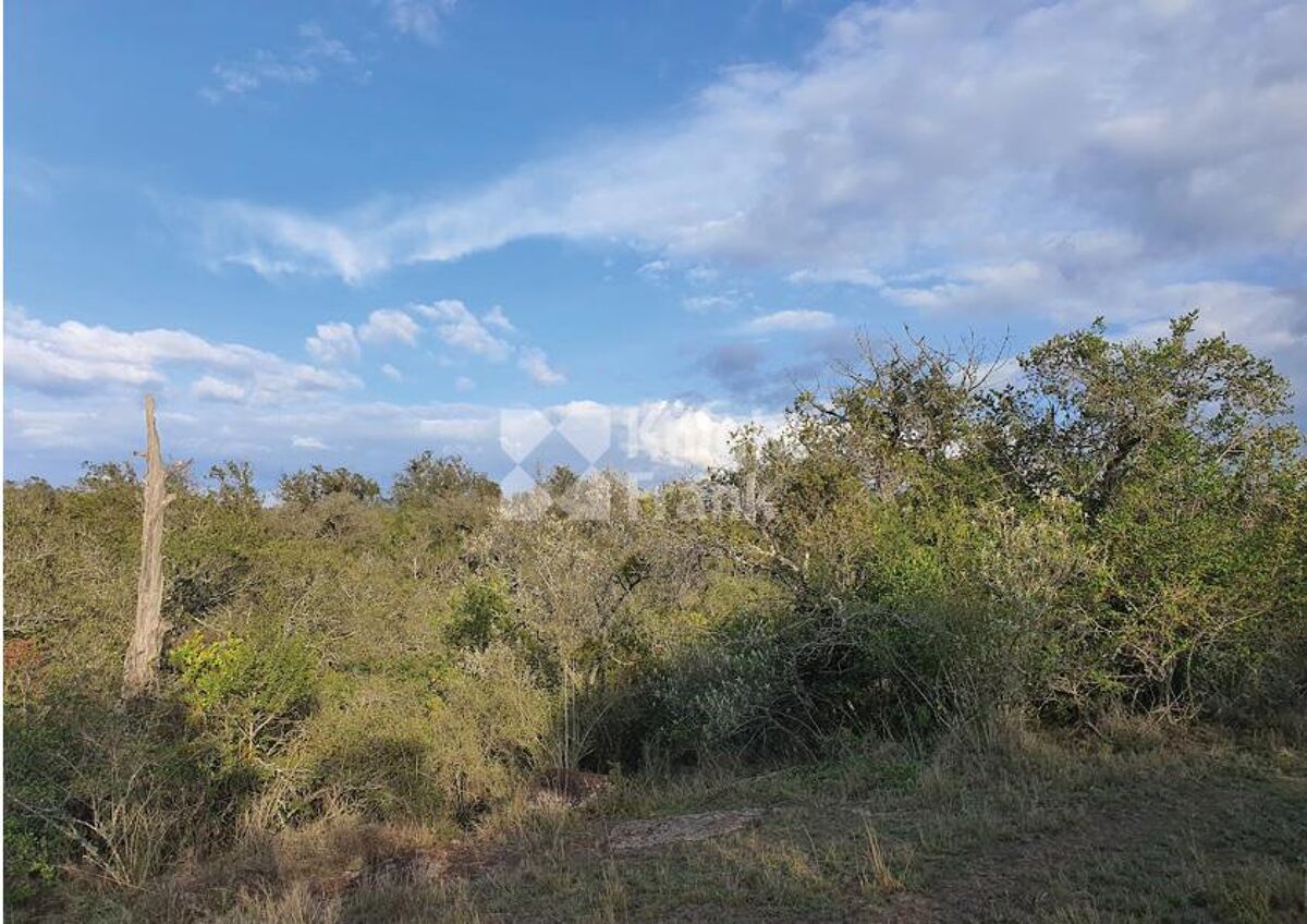 Land for sale in Burguret, Nanyuki HUB2102185 Knight Frank
