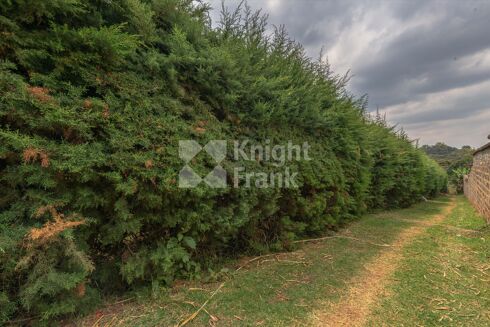 Picture of Land for sale.