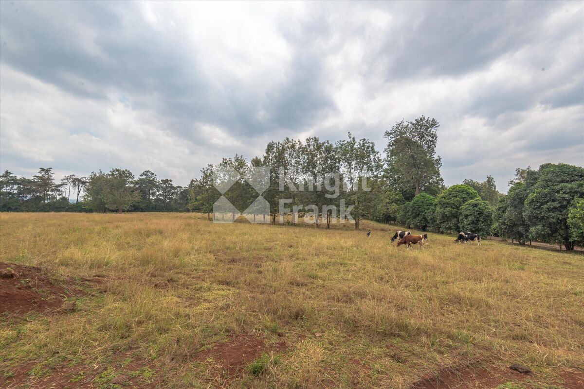 Land for sale in Ololua, Karen, Nairobi HUB2122495 Knight Frank