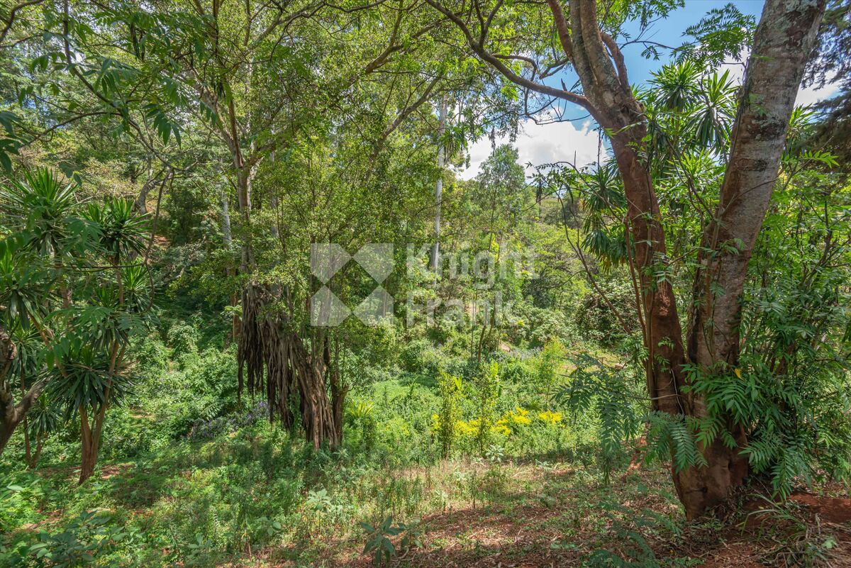 Land for sale in Thigiri Gardens, New Muthaiga, Nairobi HUB2168951