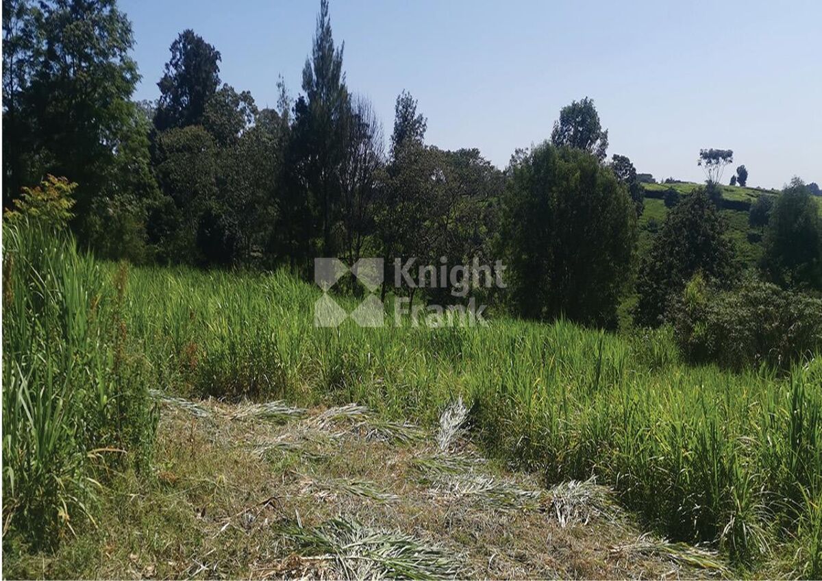 Tigoni Land for Sale Knight Frank