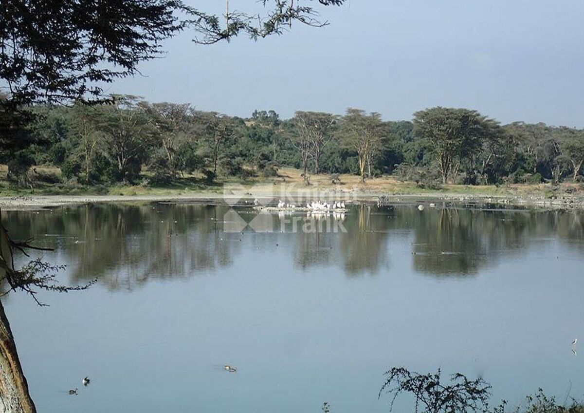 Land for sale in Sangare Conservancy, Nyeri HUB2223570 Knight Frank