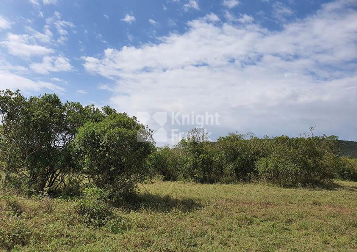 Land for sale in Sangare Conservancy, Nyeri HUB2223570 Knight Frank