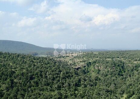 Picture of Land for sale.