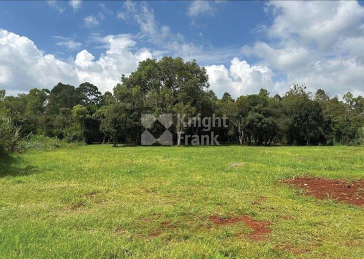 Picture of Land for sale.