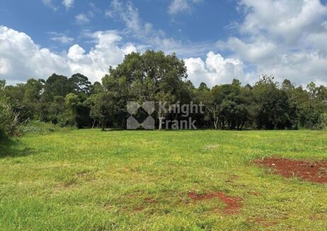 Picture of Land for sale.