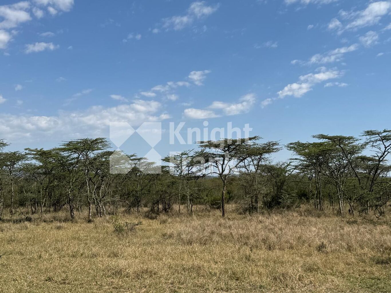 Image of Nanyuki, Lolldaiga
