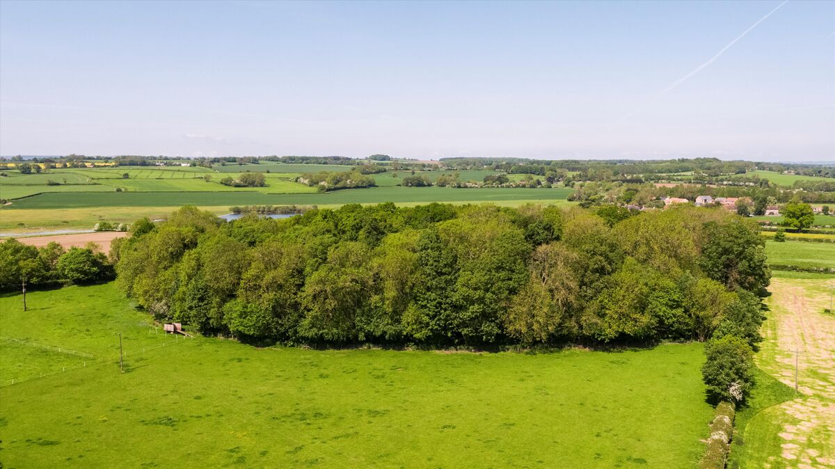 Woodland and Neolithic Henge for sale in West Tanfield, North Yorkshire