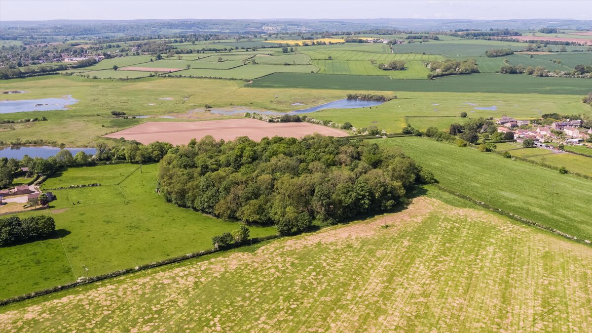 Woodland and Neolithic Henge for sale in West Tanfield, North Yorkshire