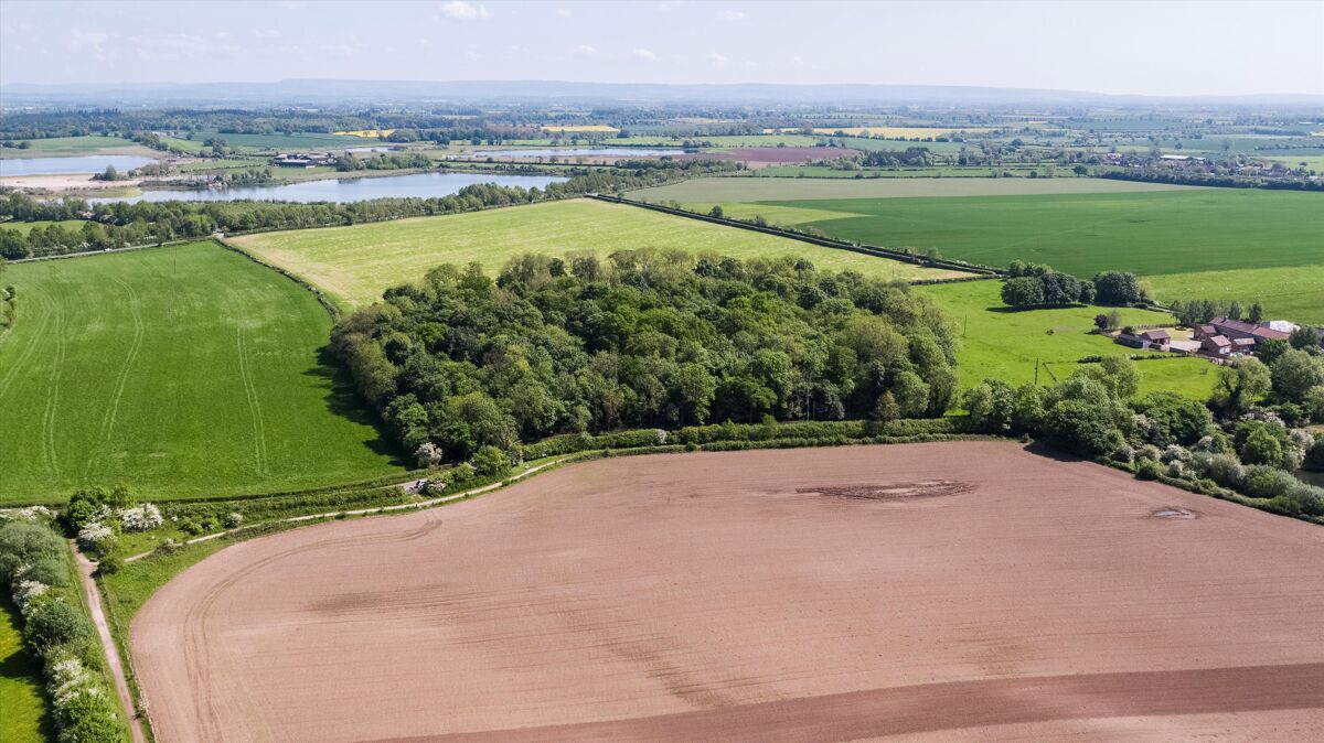 Woodland and Neolithic Henge for sale in West Tanfield, North Yorkshire