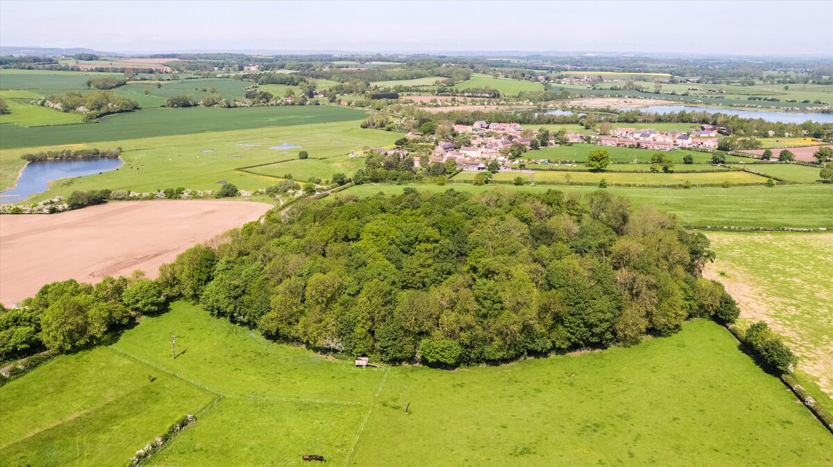 Woodland and Neolithic Henge for sale in West Tanfield, North Yorkshire