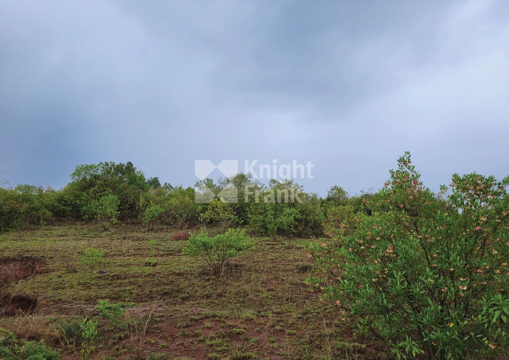 Image of Near Nanyuki Town, Nanyuki.