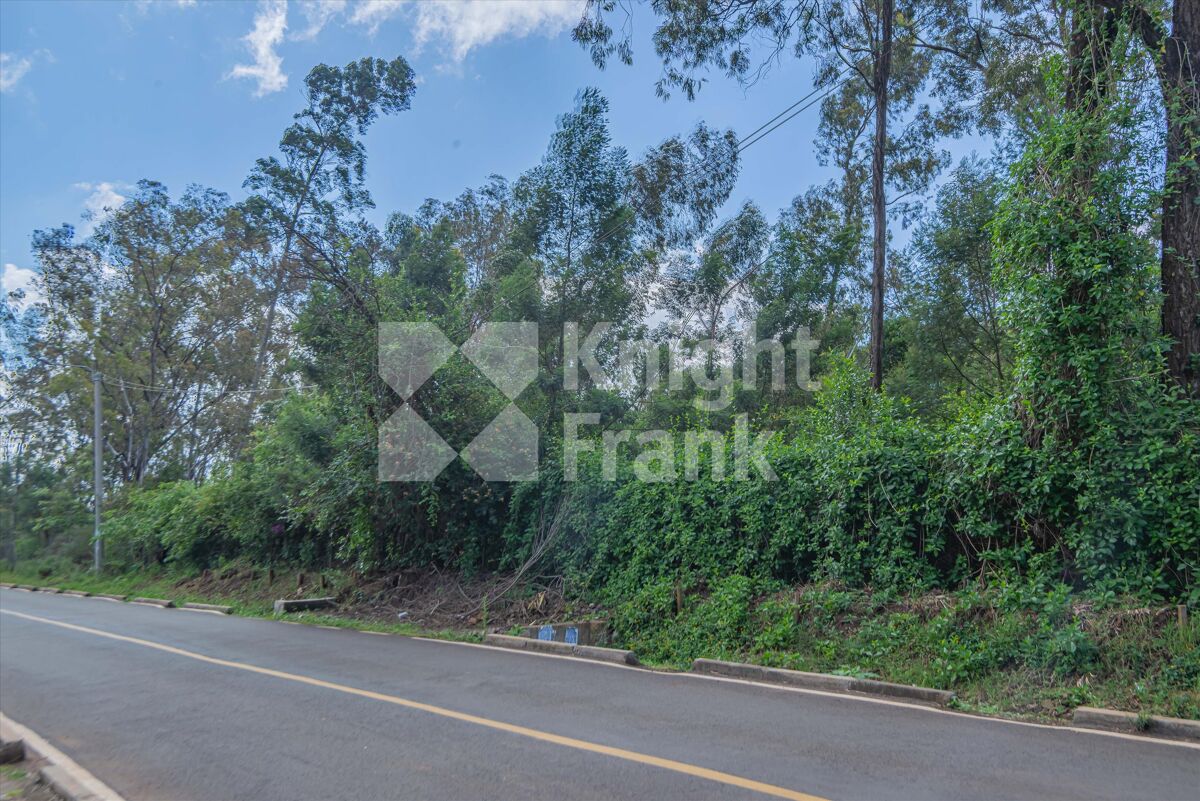 Development Plot for sale in Miotoni West Road, Karen, Nairobi HUB2314919 Knight Frank