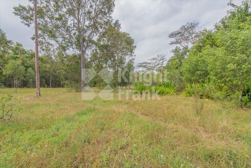 Picture of Land for sale.
