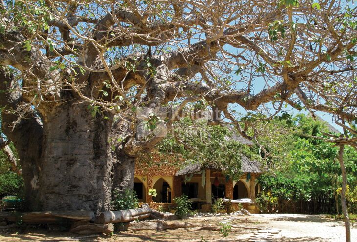 Picture of Ras Kitau, Manda Island, Lamu