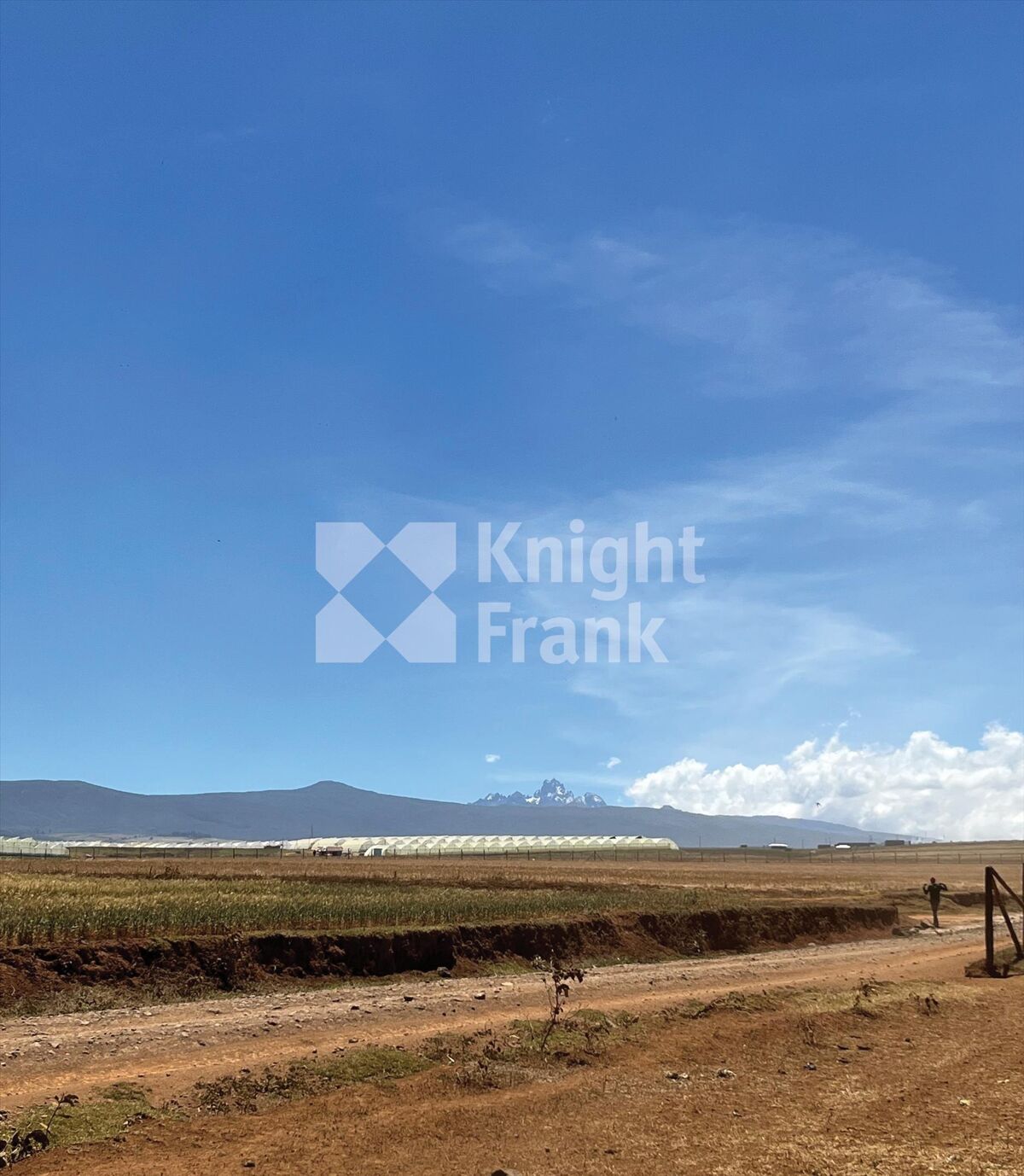 Land for sale in Timau, Nanyuki HUB2344932 Knight Frank