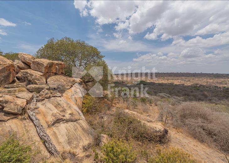 Picture of Land for sale.