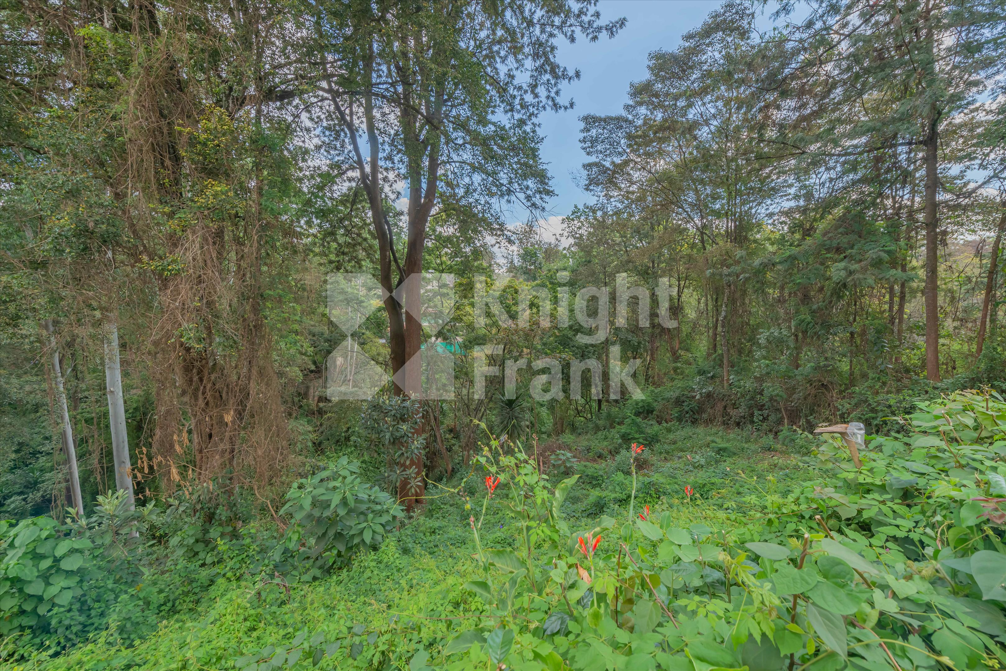 nyariページ Properties for sale in Nyari | Knight Frank UK