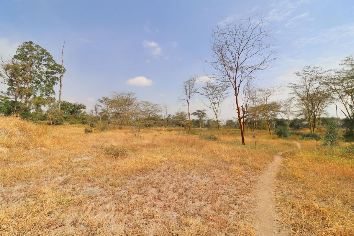 Land/Site/Dev for sale in Athi River, Junction of Namanga Road and Athi