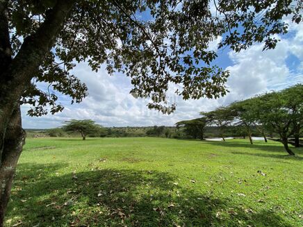 Picture of 5 bedroom estate for sale.