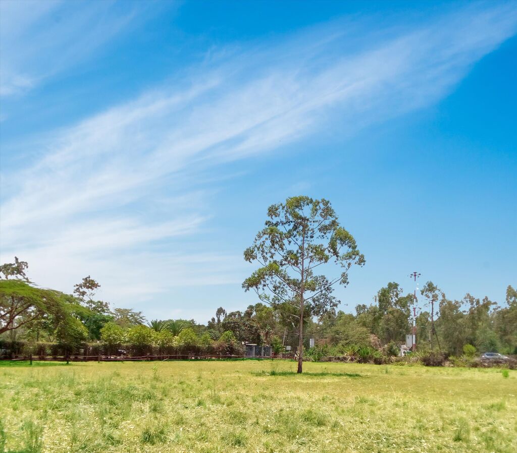 Image of Langata Road, Karen