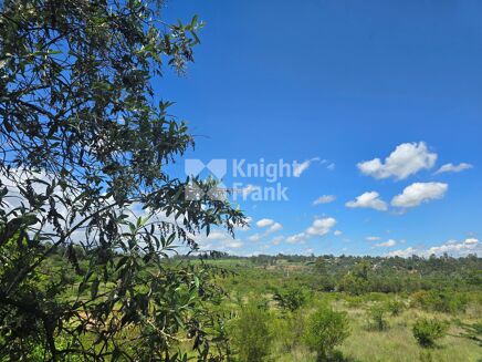 Picture of Land for sale.