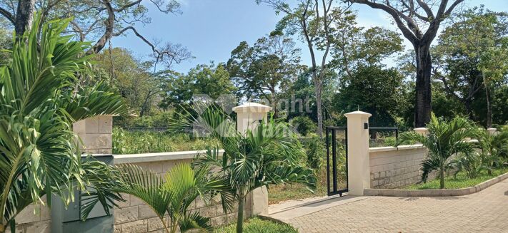 Picture of Land for sale.