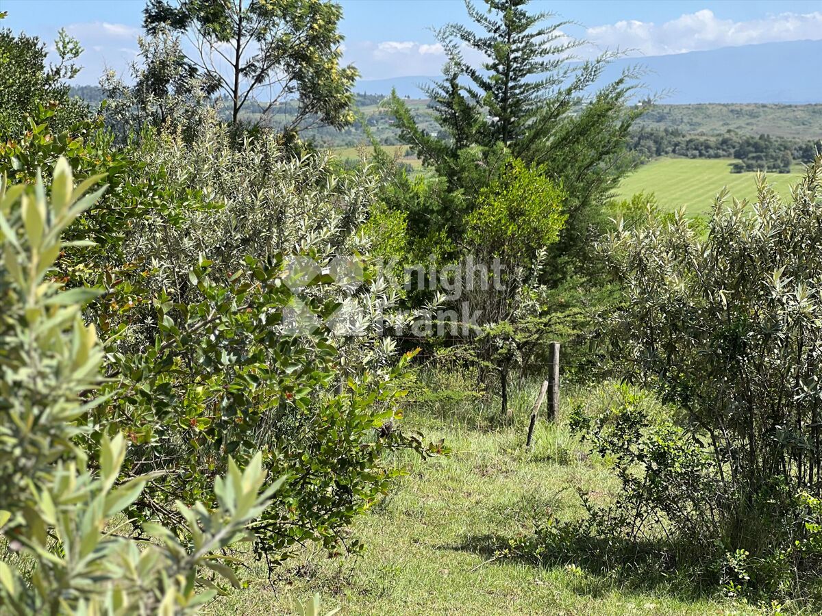 Stunning 10acre Plot For Sale in Gilgil. Knight Frank