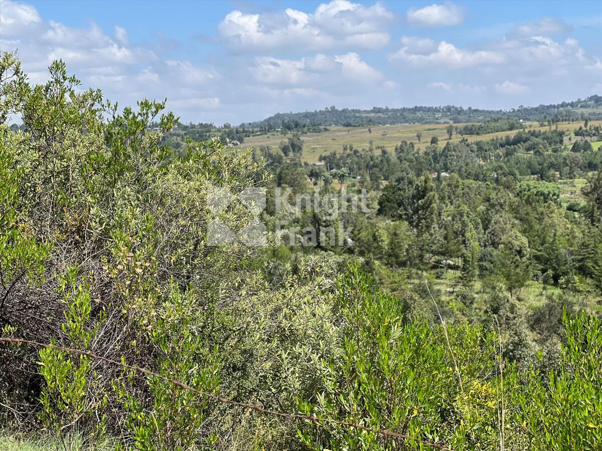 Stunning 10acre Plot For Sale in Gilgil. Knight Frank