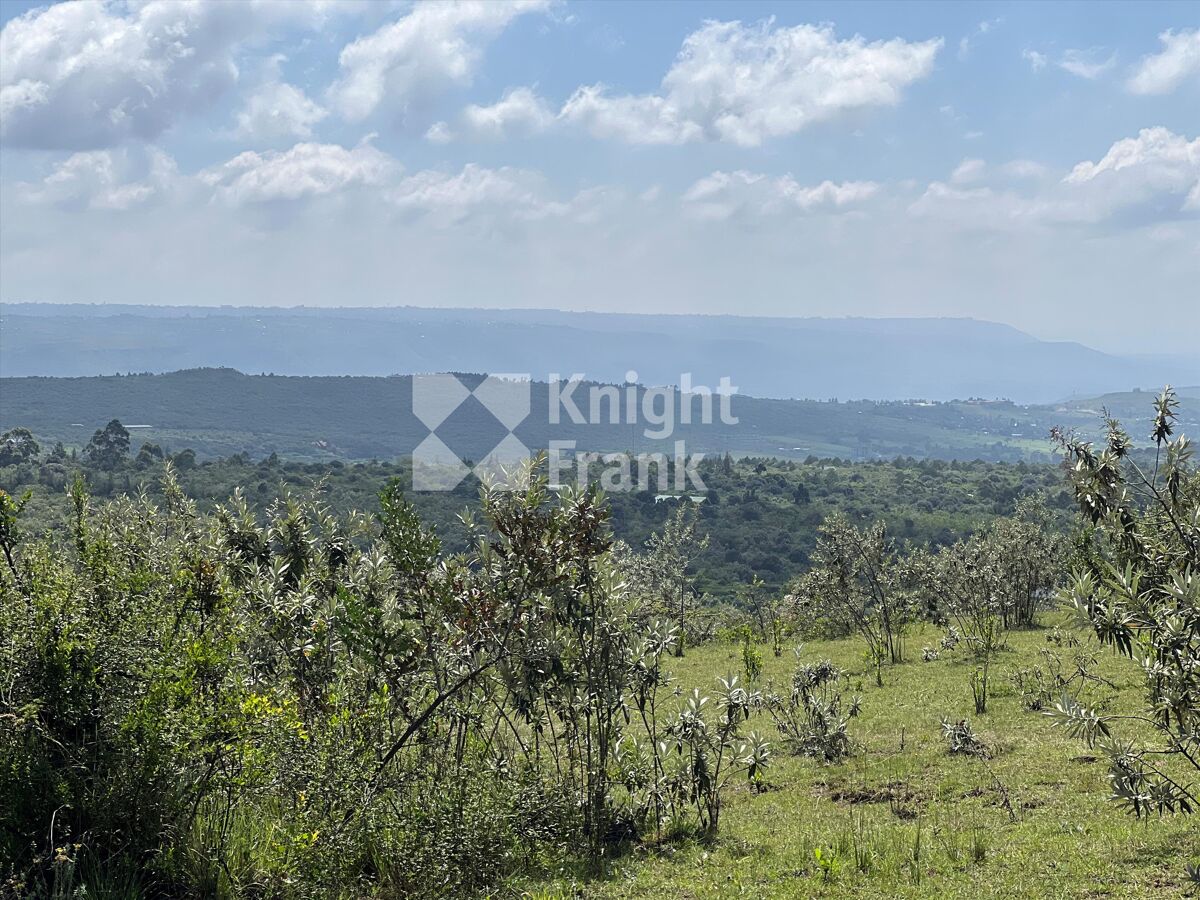 Stunning 10acre Plot For Sale in Gilgil. Knight Frank
