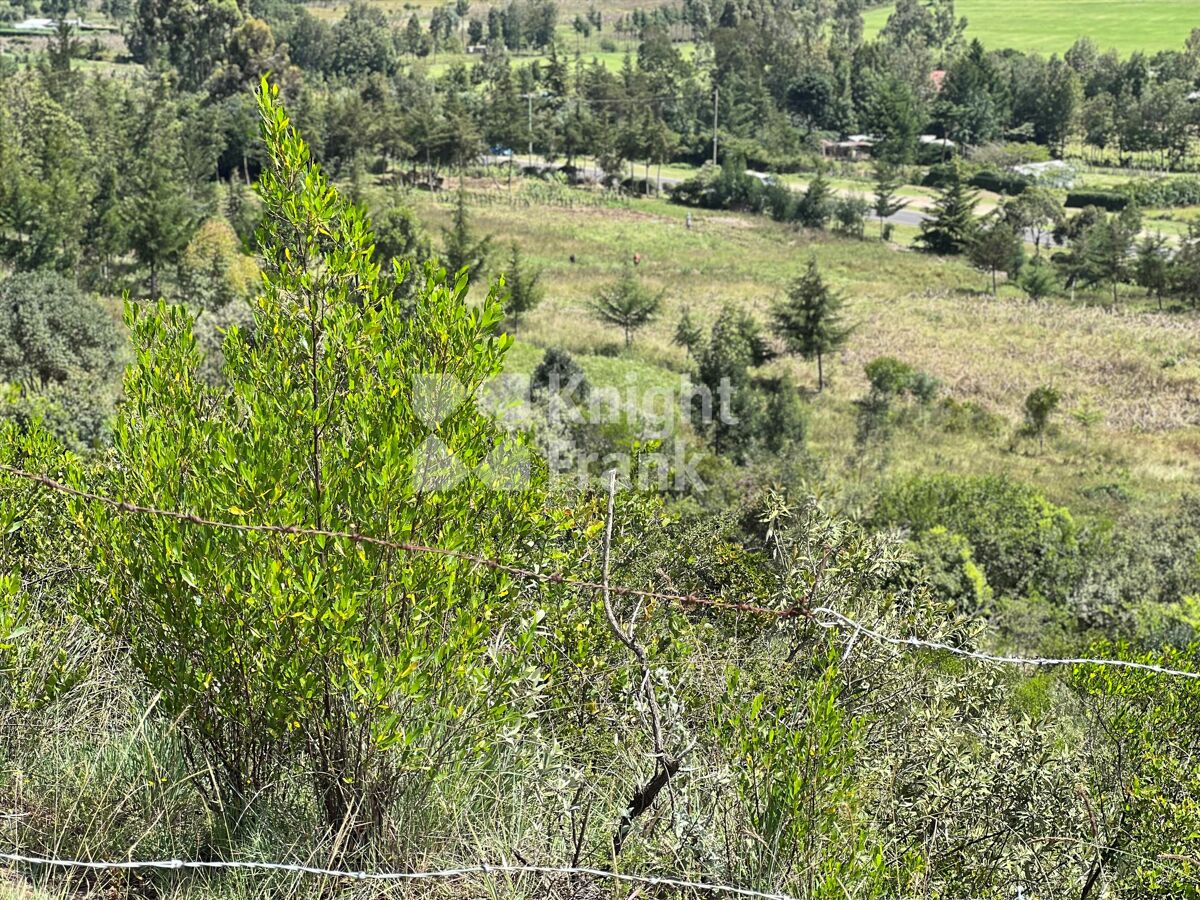 Stunning 10acre Plot For Sale in Gilgil. Knight Frank