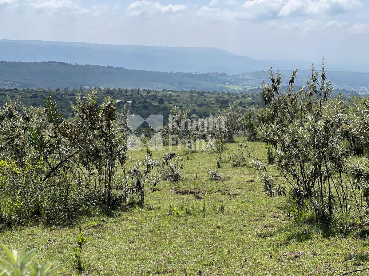 Stunning 10acre Plot For Sale in Gilgil. Knight Frank