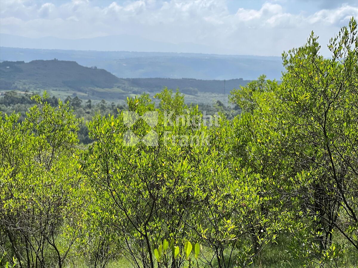 Stunning 10acre Plot For Sale in Gilgil. Knight Frank