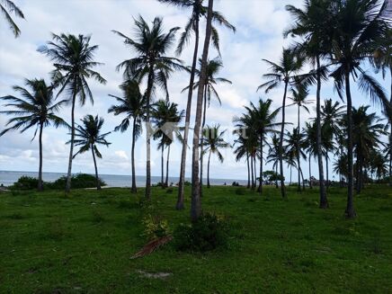 Picture of Land for sale.