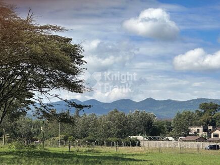 Picture of Land for sale.