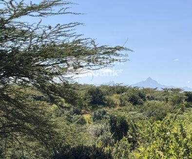 Picture of Land for sale.