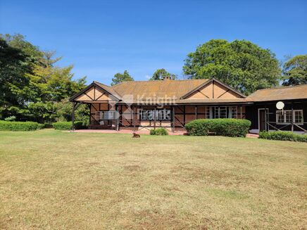 Picture of Land for sale.