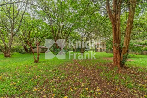 Picture of Development Plot for sale.