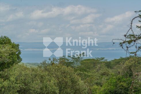 Picture of Land for sale.