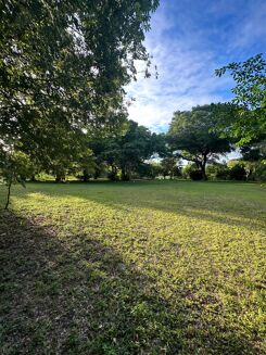 Picture of Land for sale.